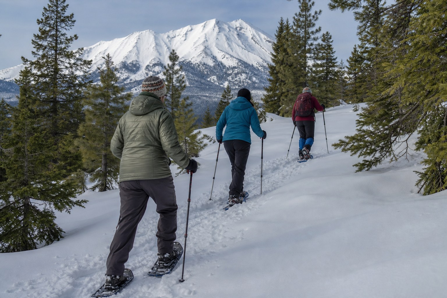 Guests snowshoeing single-file through a Mount Shasta forest